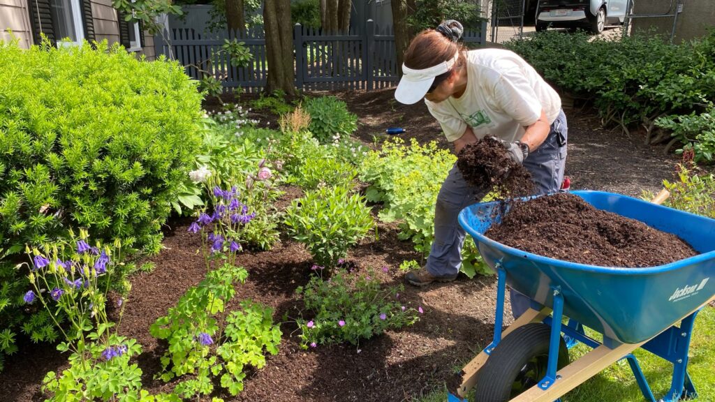 Why Choose Landscapers?